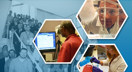 Collage of VA APT Center researchers
