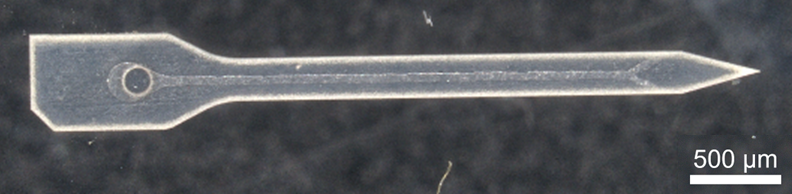 Neural probe with microfluidic channels